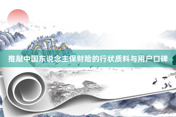 推敲中国东说念主保财险的行状质料与用户口碑