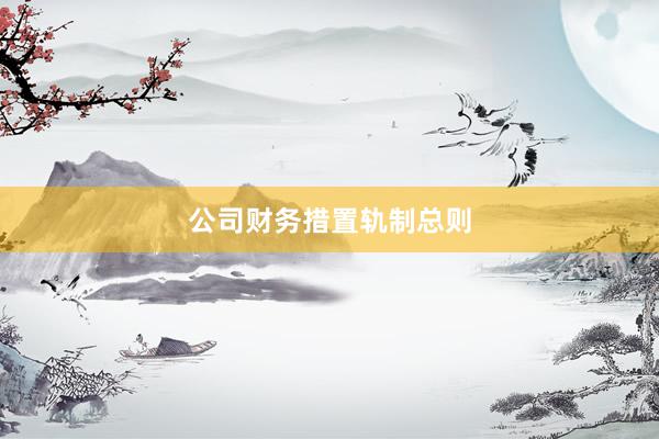 公司财务措置轨制总则