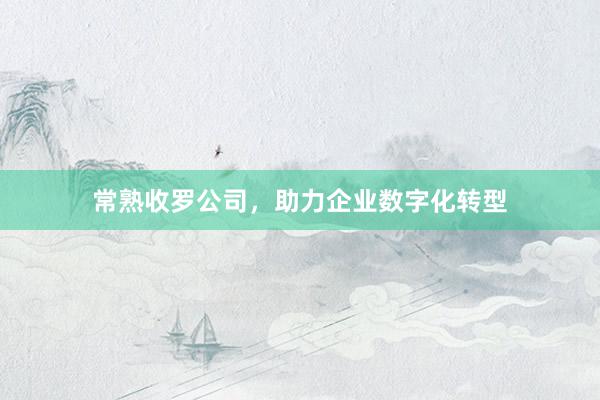 常熟收罗公司，助力企业数字化转型
